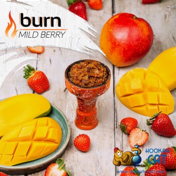 Заказать кальянный табак Burn Mild Berry (Берн Земляника Манго) 25г онлайн с доставкой всей России